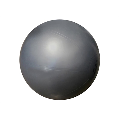 Fitness Mania – Force USA Commercial Exercise Ball 75cm – Silver