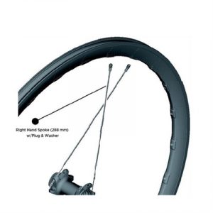 Fitness Mania - Shimano WH-RX830-TL-F RIGHT HAND SPOKE 288mm w/PLUG & WASHER